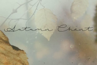 Autumn Chant: Elevate Your Brand with a Handwritten Touch